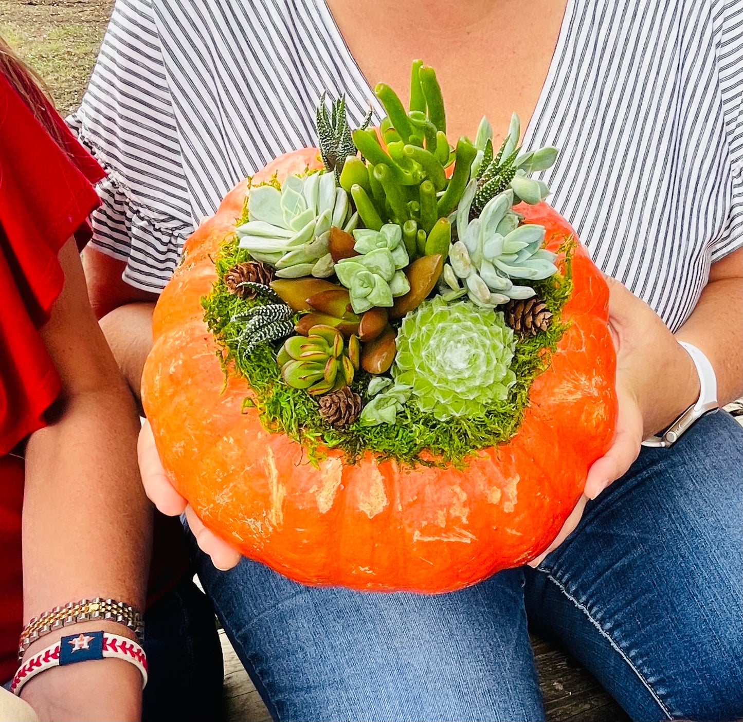 Slow North DIY Succulent Pumpkin Class