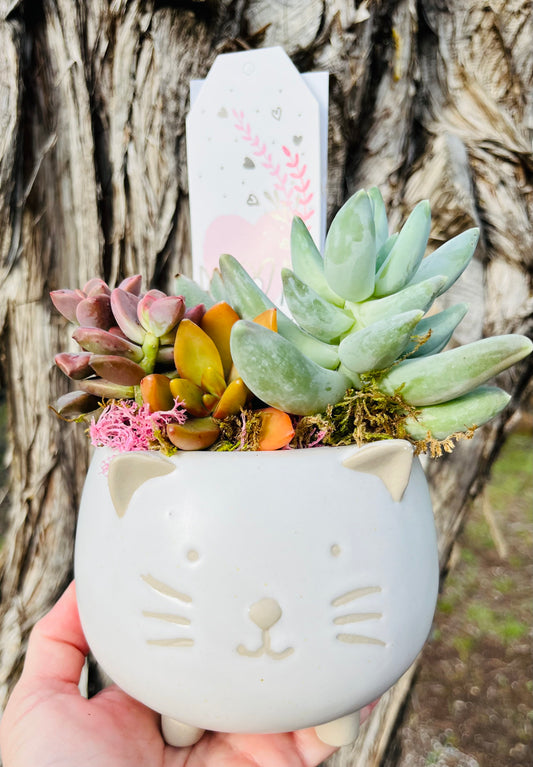 Mother's Day Cat Planter | Rooted Treasures Succulents