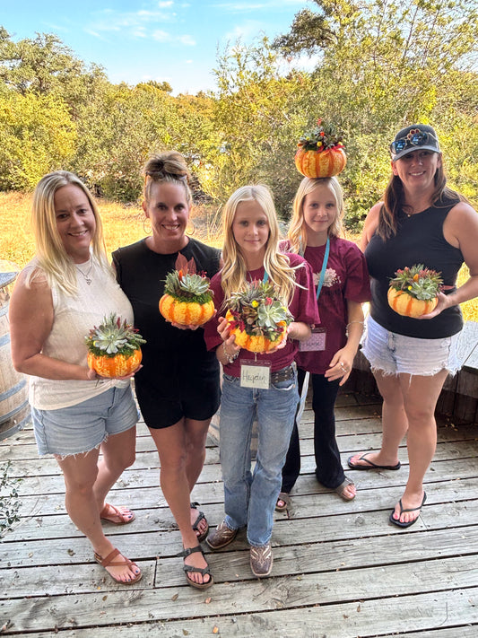 Succulent Pumpkin Workshop | Fitzhugh Brewing