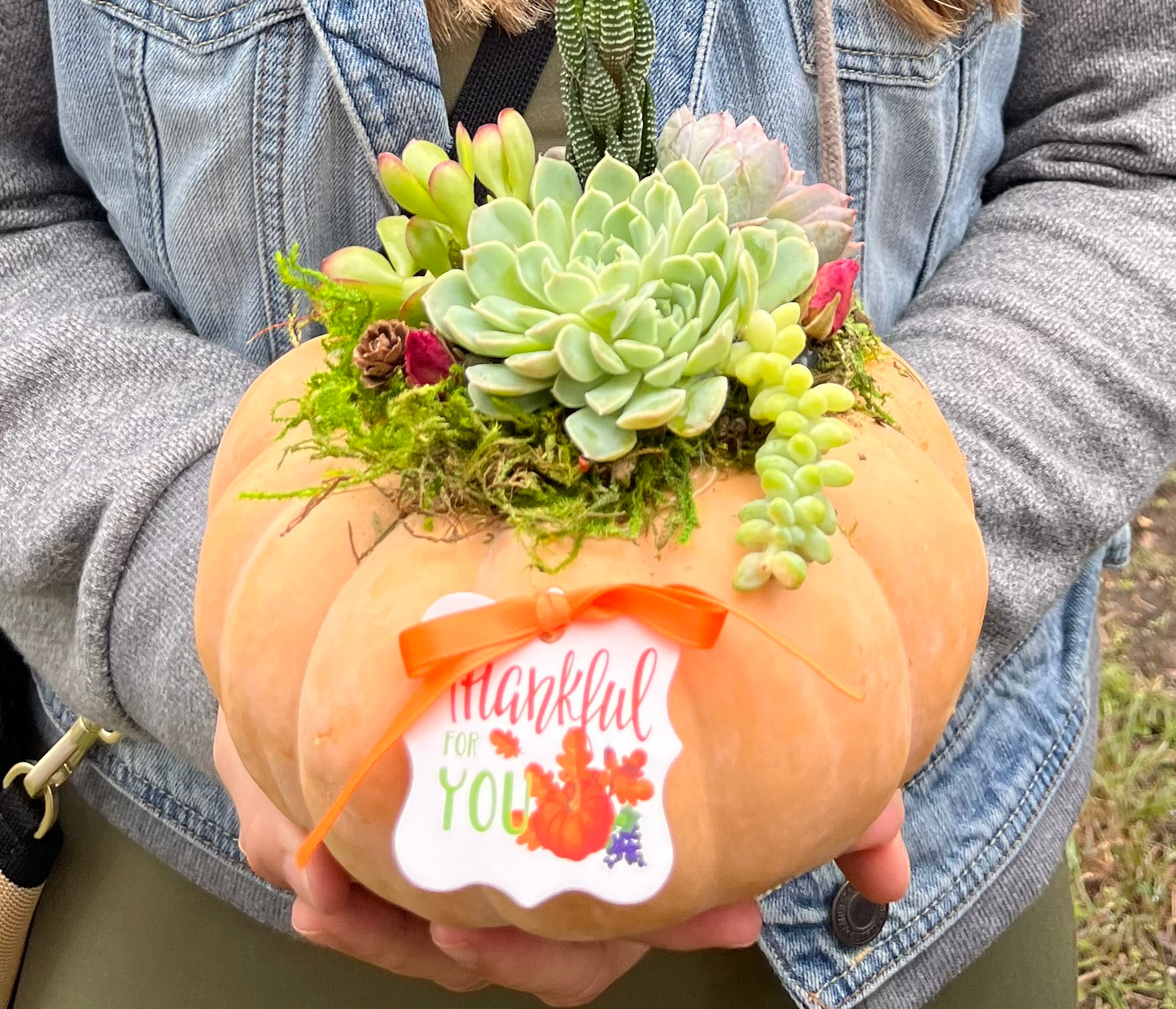 Vista Brewing DIY Succulent Pumpkin Class