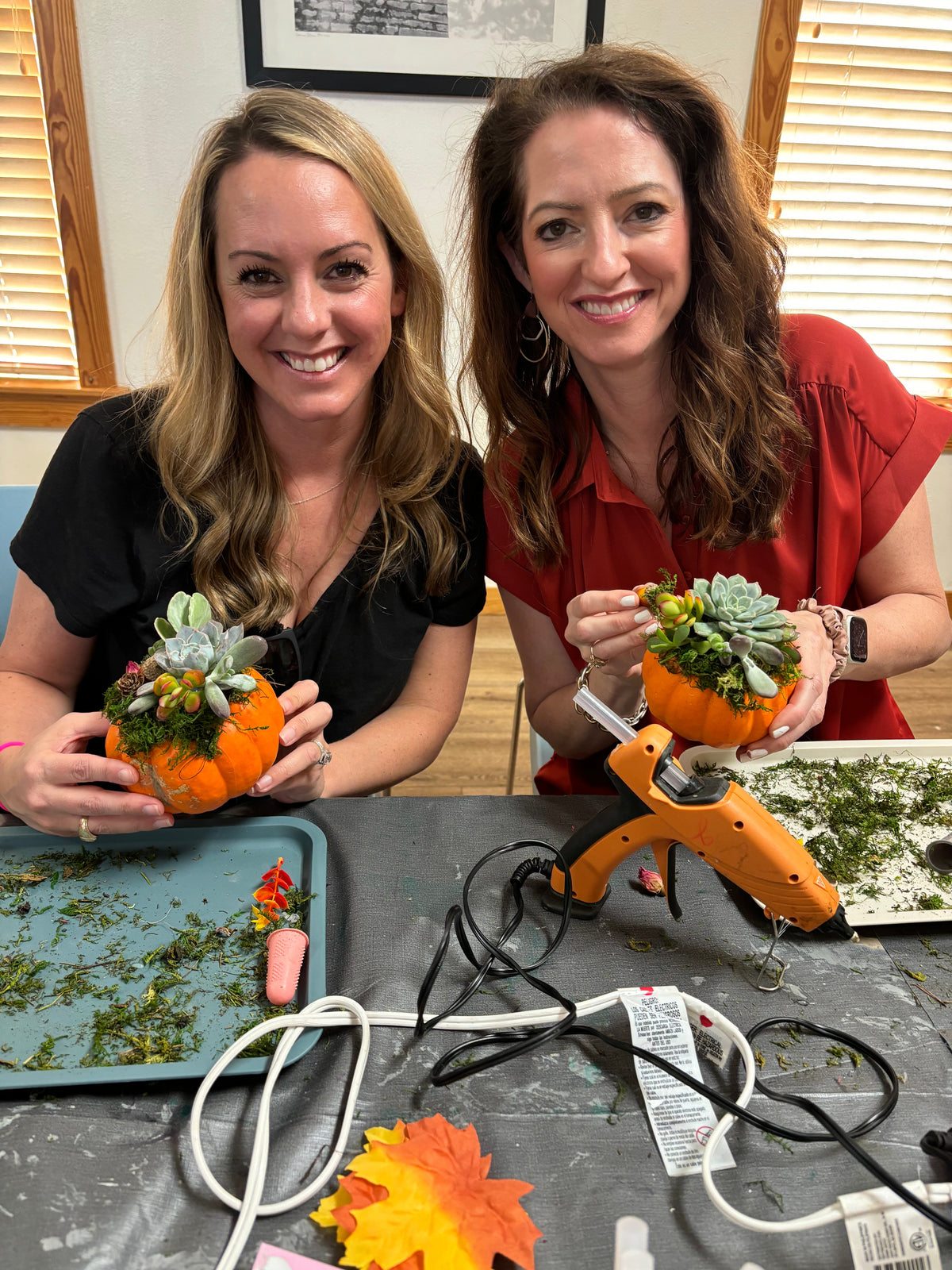 Finished succulent pumpkin ready for fall display