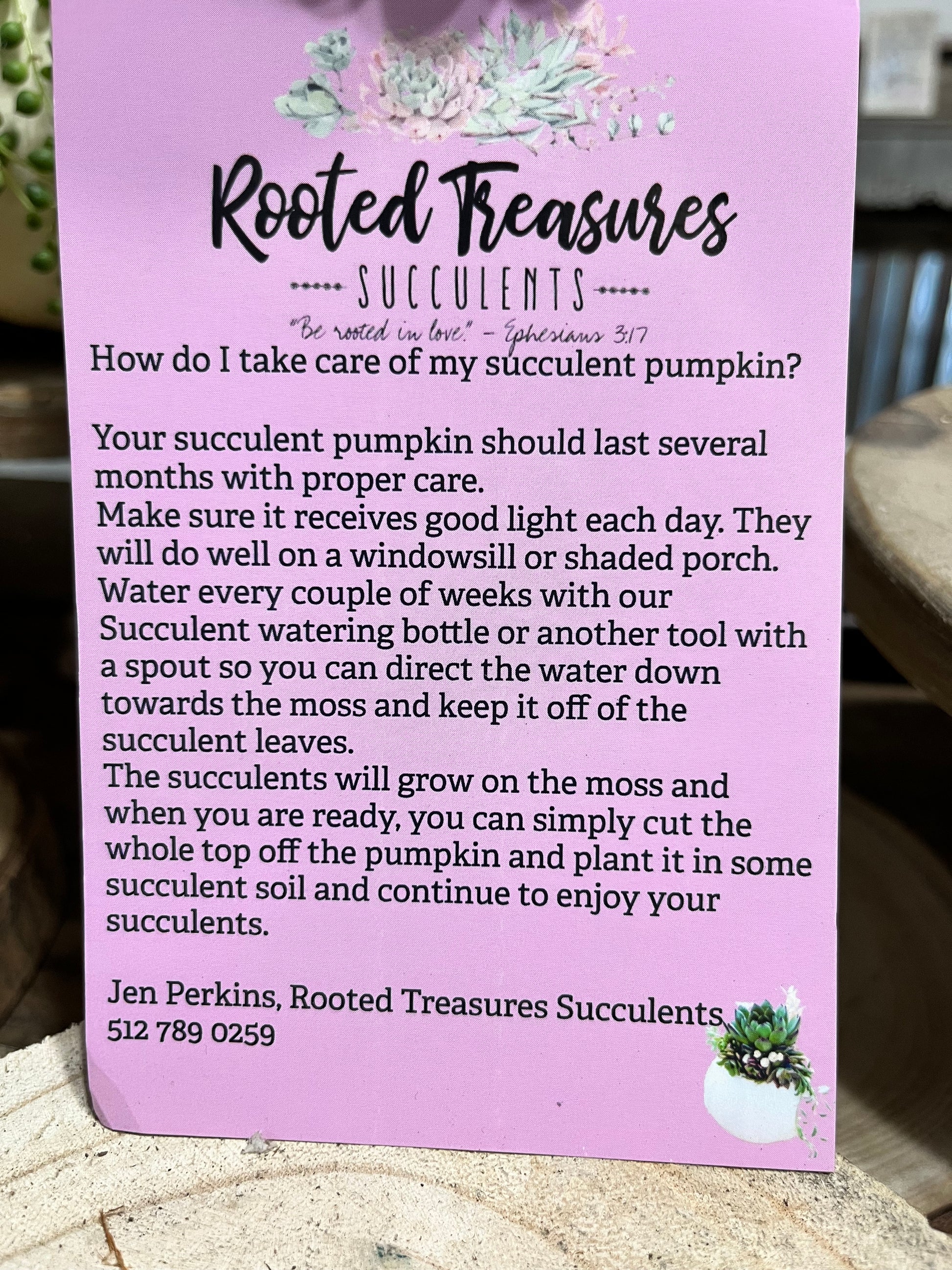 Caring for Succulent Pumpkin Arrangements | Rooted Treasures Succulents