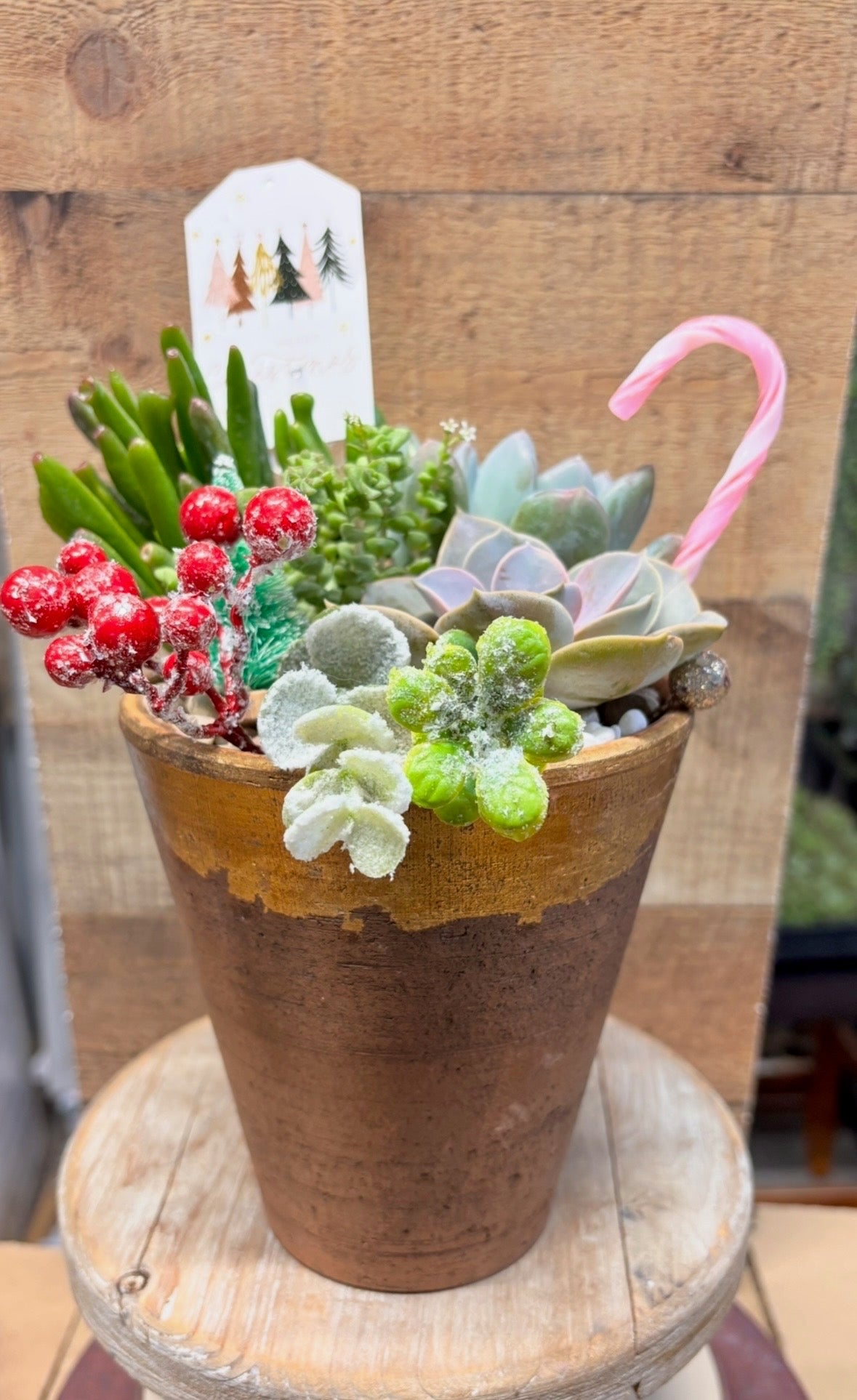 Christmas DIY Workshop | Texas Hills Vineyard