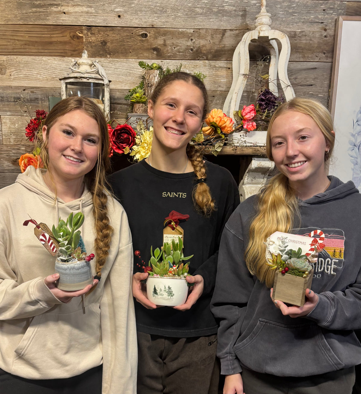 DIY  Christmas  Succulent Workshop