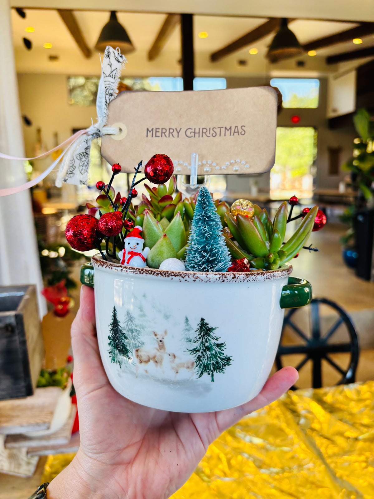 DIY  Christmas  Succulent Workshop