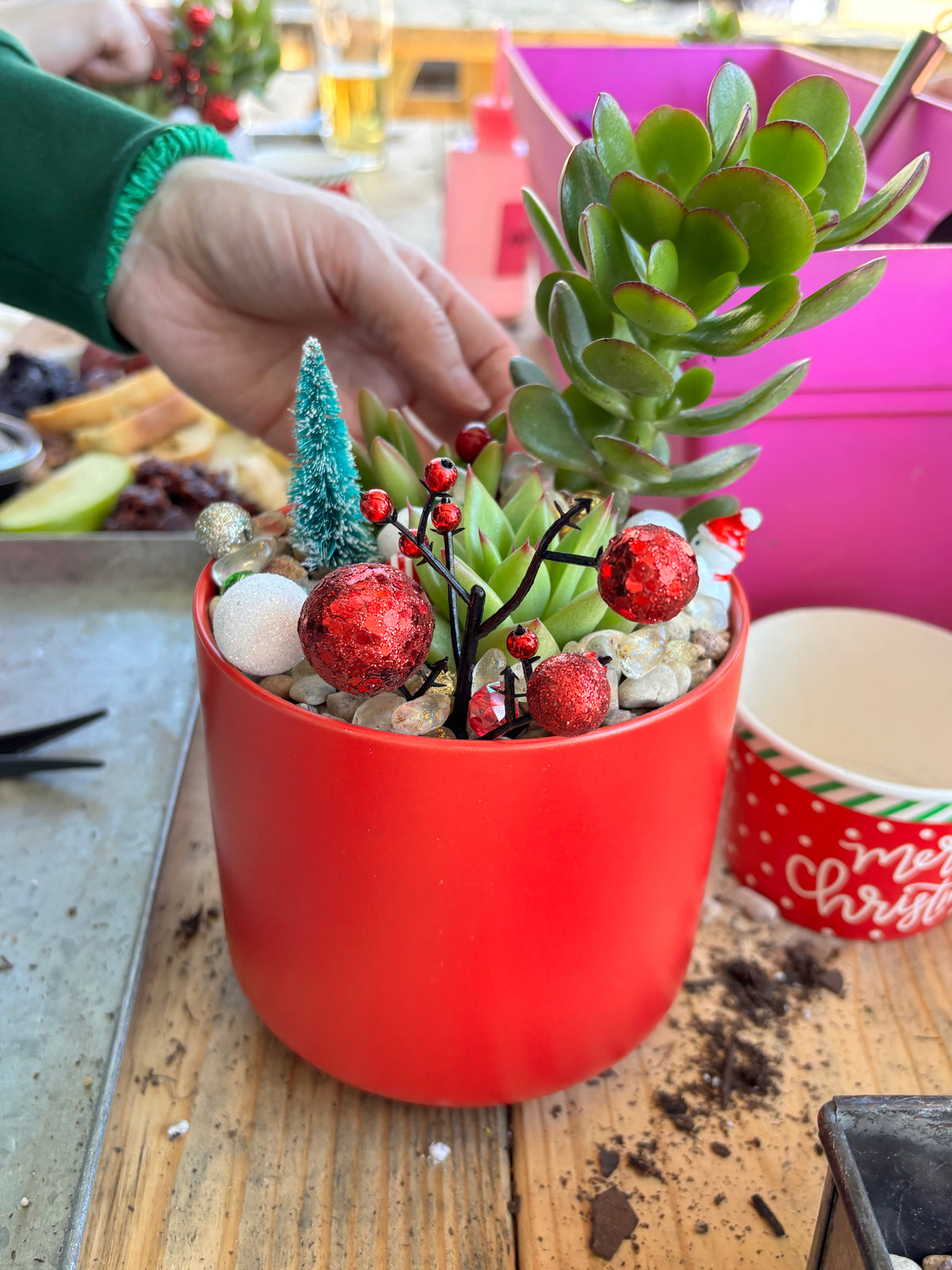 DIY  Christmas  Succulent Workshop