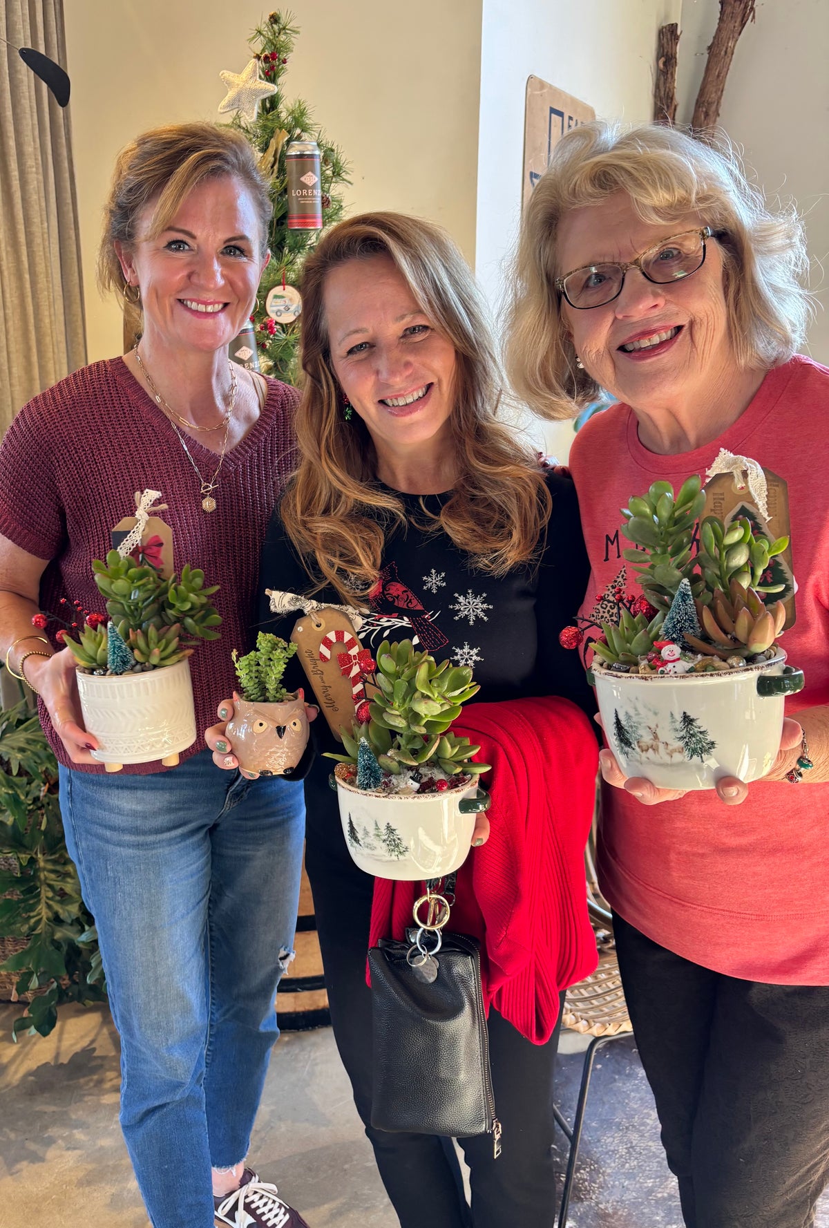 DIY  Christmas  Succulent Workshop