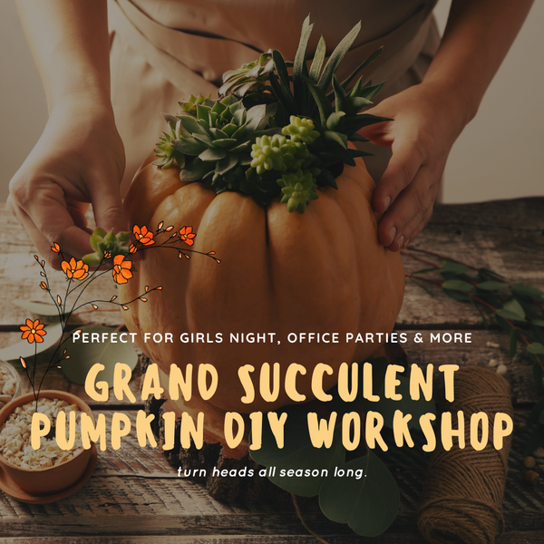 September 27th Grand Succulent Pumpkin DIY Workshop