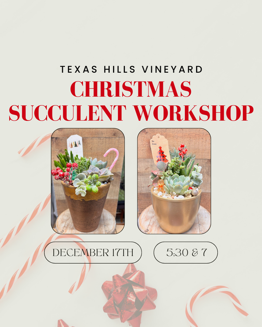 Christmas DIY Workshop | Texas Hills Vineyard