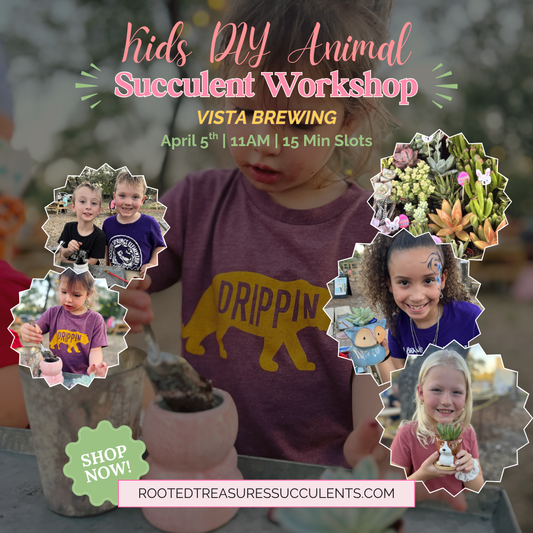 Kids DIY Animal Succulent Bar | Vista Brewing