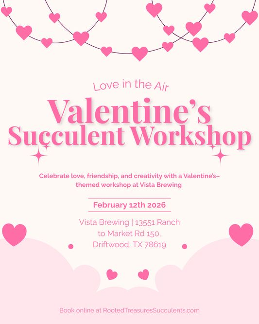 Valentine’s Date Night / Galentine’s Night |  Vista Brewing