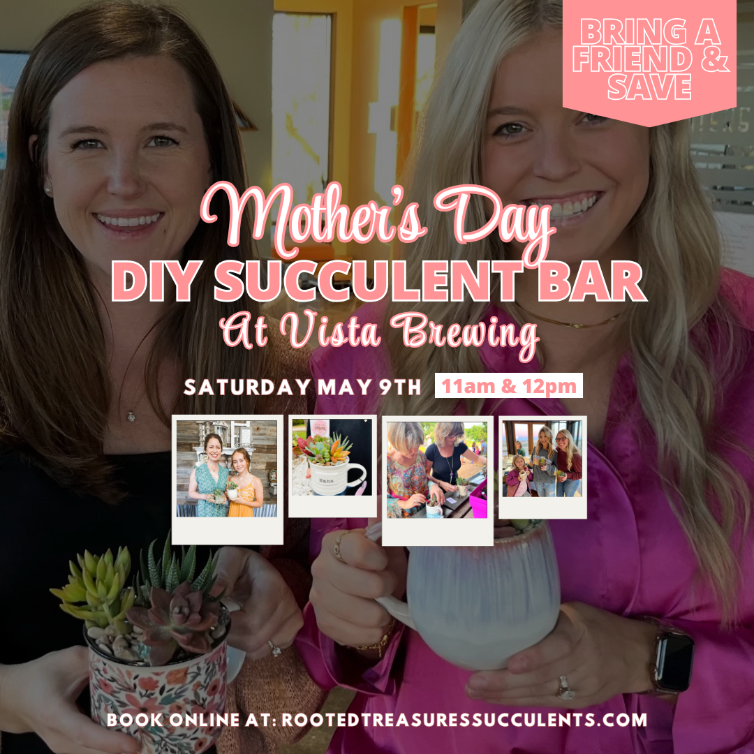 Mother's Day DIY Succulent Bar | Vista Brewing