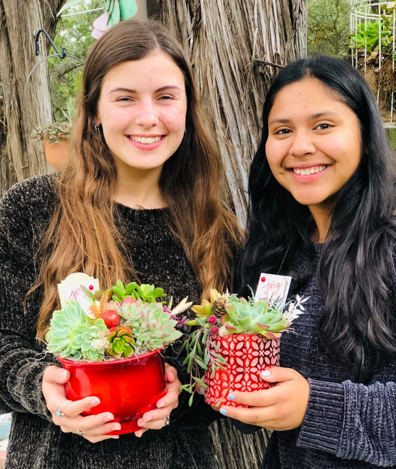 Rooted Treasures Succulents - Christmas DIY Workshop serving the Dripping Springs, Lakeway and Austin community