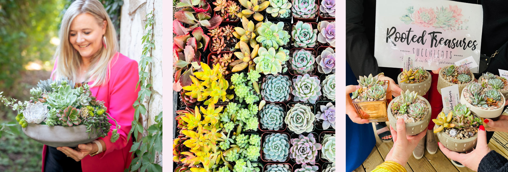 Rooted Treasures Succulents - Your Leading Succulent Arrangement Provider for Lakeway, Dripping Springs, and Austin