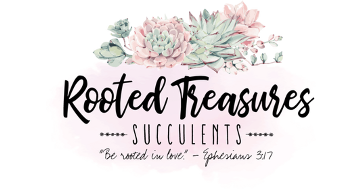 Rooted Treasures Succulents, Austin