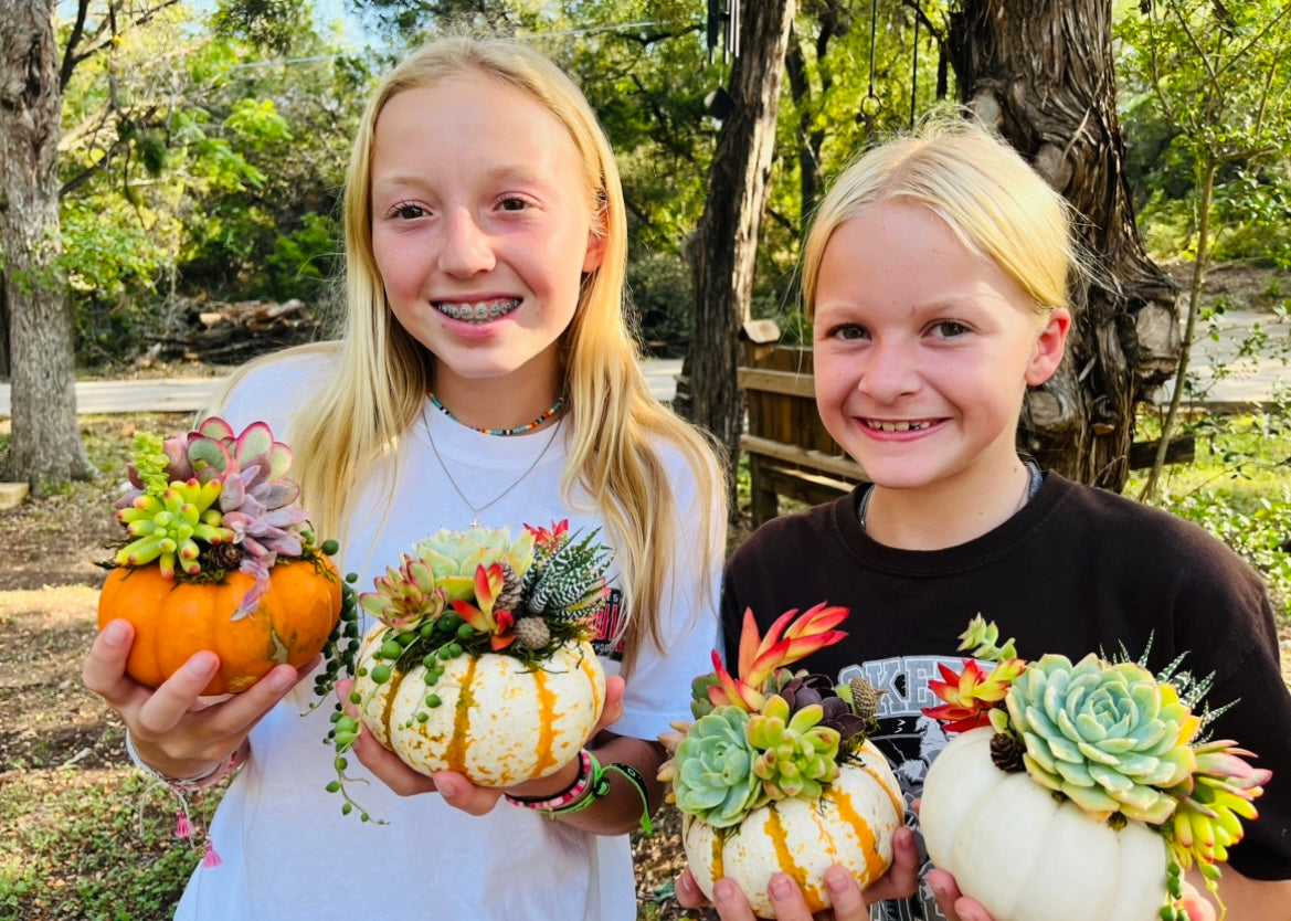 Succulent Pumpkin Workshop for Kids Birthdays and Events