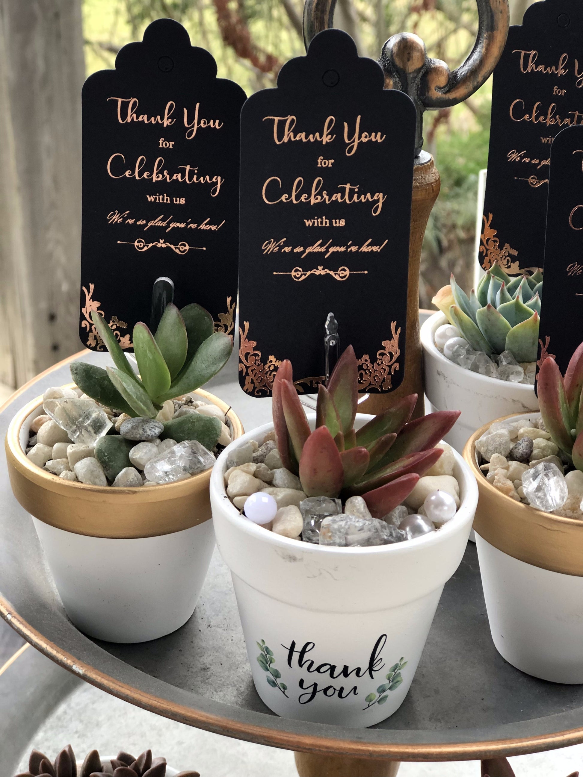 "Thank You for Celebrating With Us" | Rooted Treasures Succulents