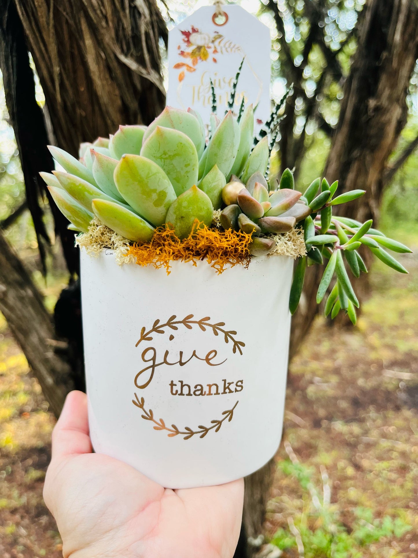 Give Thanks Arrangement | Rooted Treasures Succulents