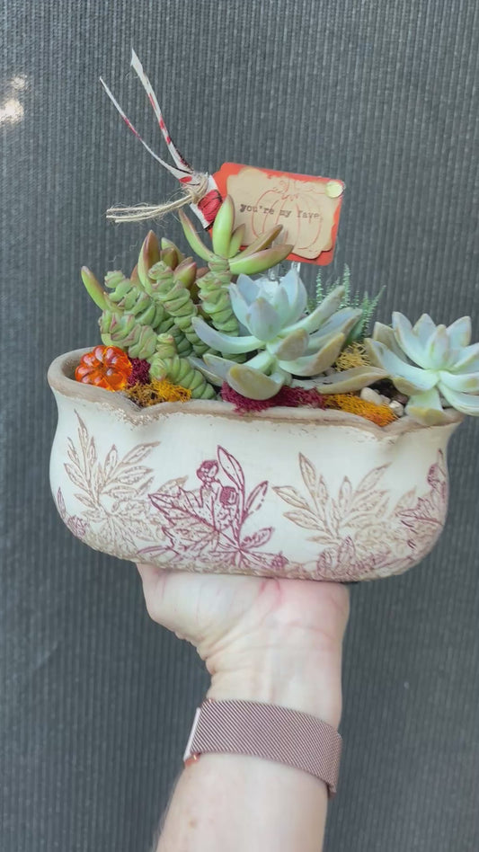 Autumn Harvest Succulent Garden