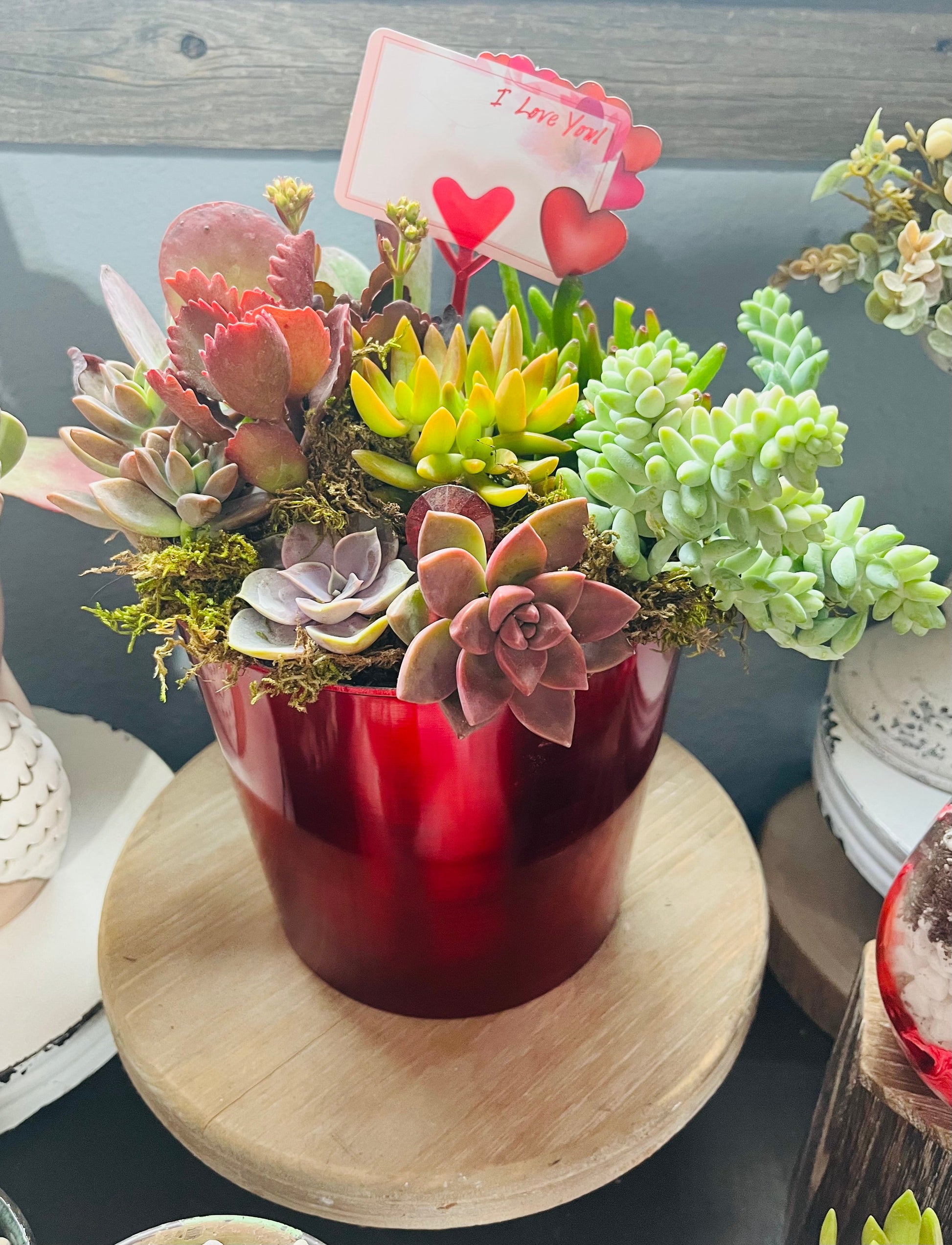 Succulent Valentine Garden | Rooted Treasures Succulents
