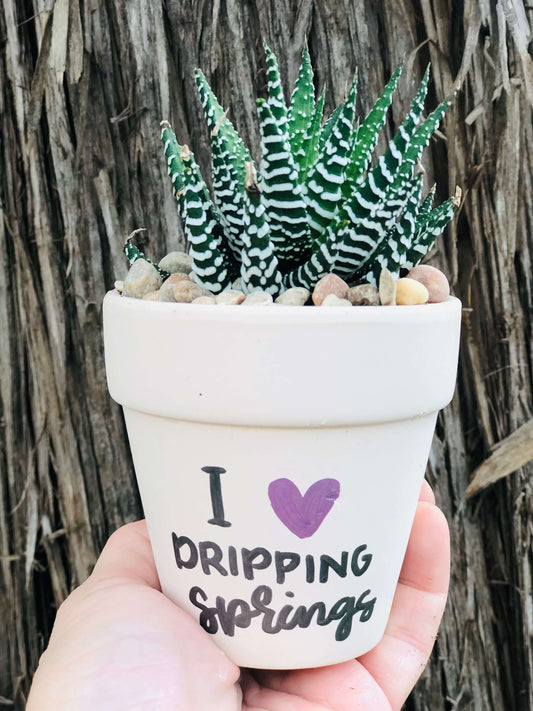 I Love Dripping Springs Pot | Rooted Treasures Succulents