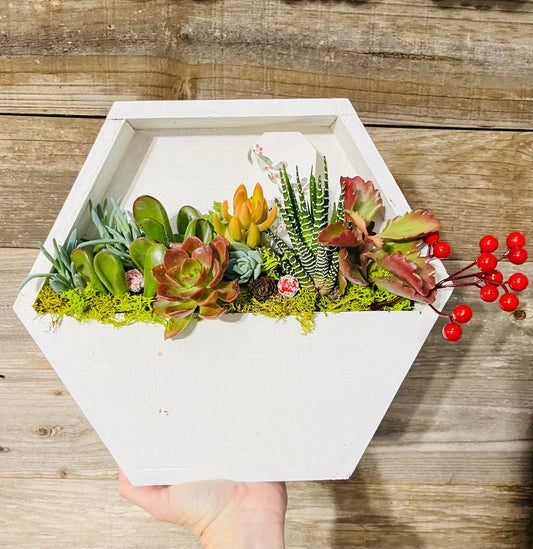 "White Succulent Wall Planter" Arrangement | Rooted Treasures Succulents