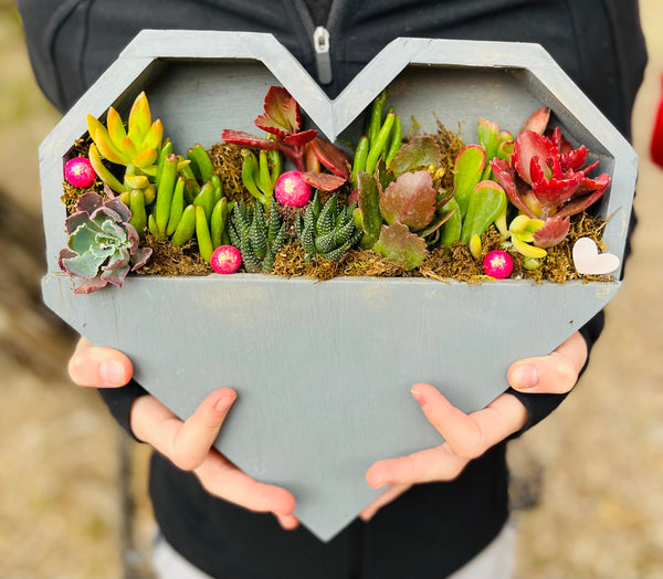 Gray Wooden Heart Planter Arrangement | Rooted Treasures Succulents