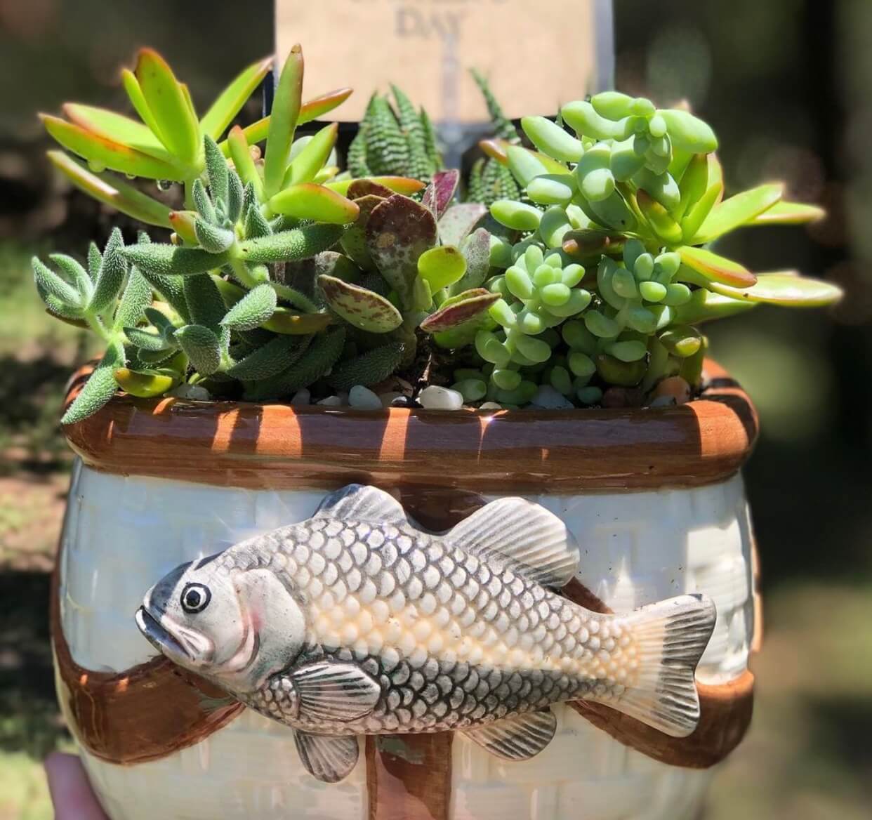 Papa's Fishing Planter Succulent Garden | Rooted Treasures Succulents