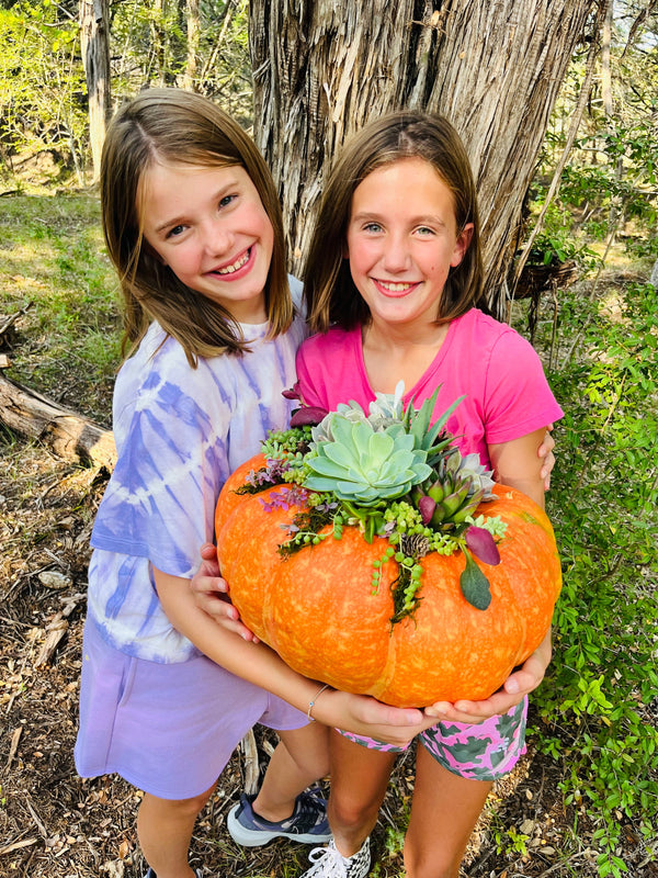 Grand Succulent Pumpkin Centerpiece  | Rooted Treasures Succulents
