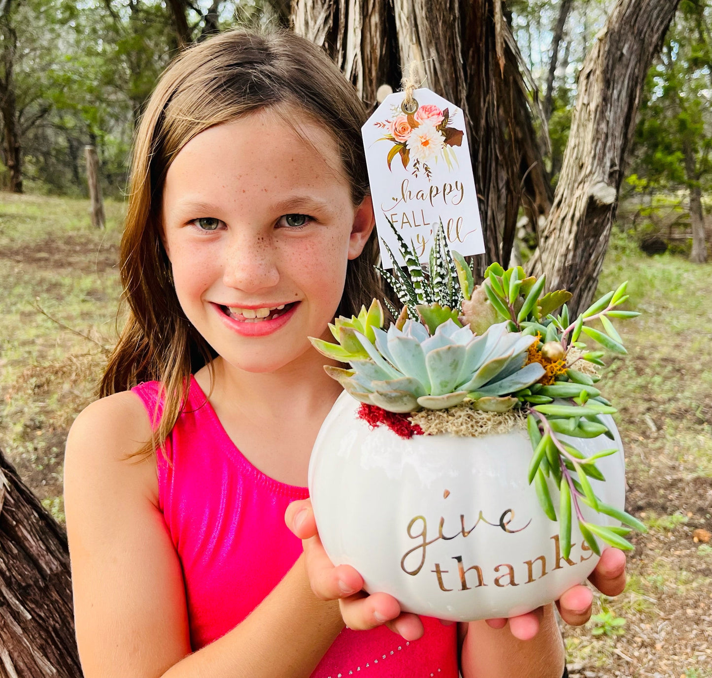 Give Thanks Pumpkin Succulent | Rooted Treasures Succulents