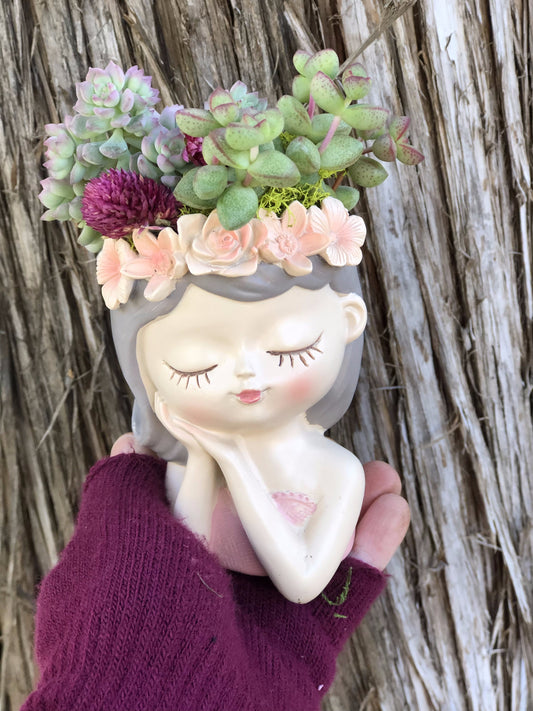 Sleeping Beauty | Rooted Treasures Succulents